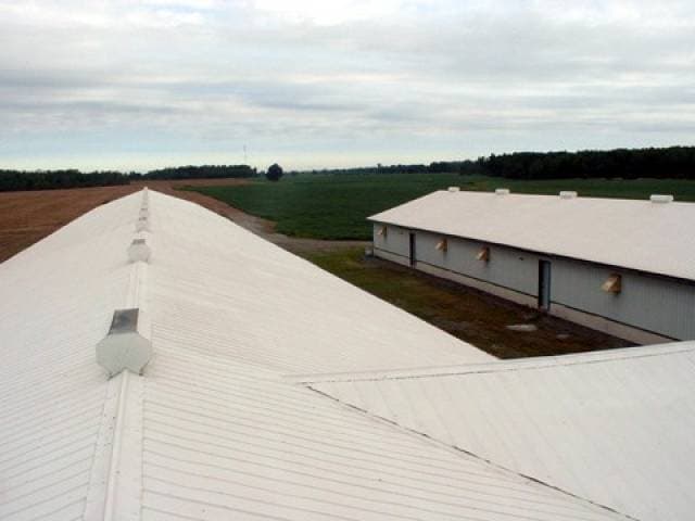 Canadian Chicken Farmer – Super Therm® on Farm Roof (Canada)